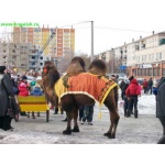 ��������� � ��������<br>�����